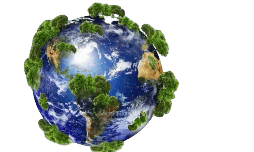 Environmental Commitment